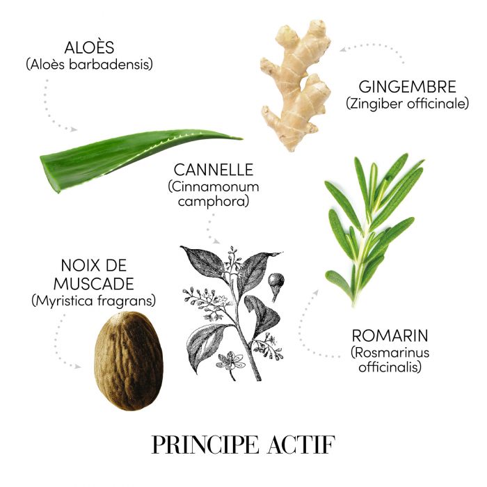 SPRAY ANTICADERE BARBATI 100ML