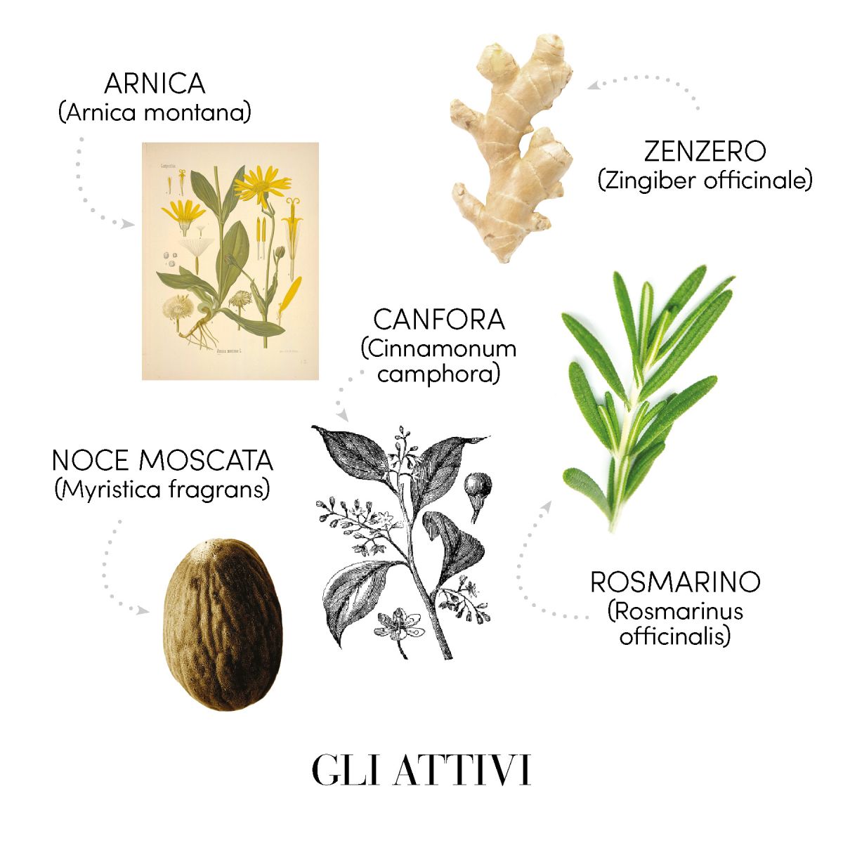 SAMPON IMPOTRIVA CADERII PARULUI 1000ML PH 5.5