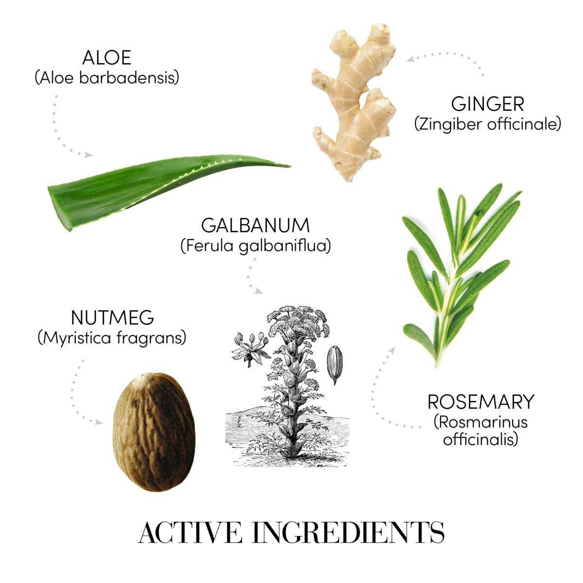 SAMPON ANTIMATREATA INSTANT 1000ML PH 5.5