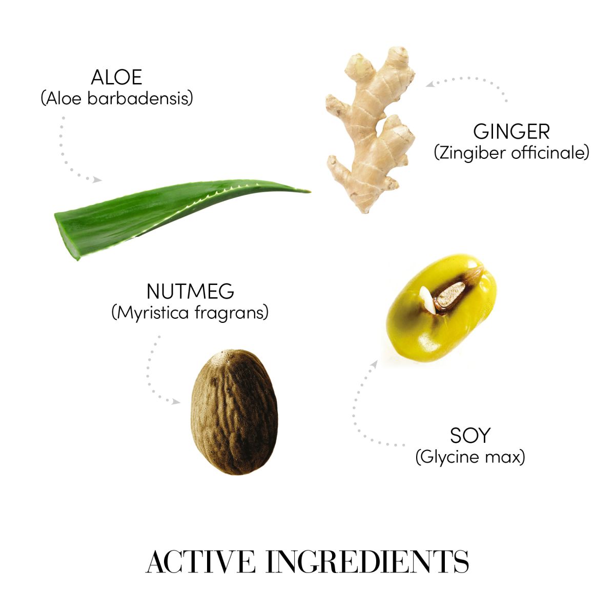 SAMPON PENTRU SCALP GRAS 1000ML PH 5.5