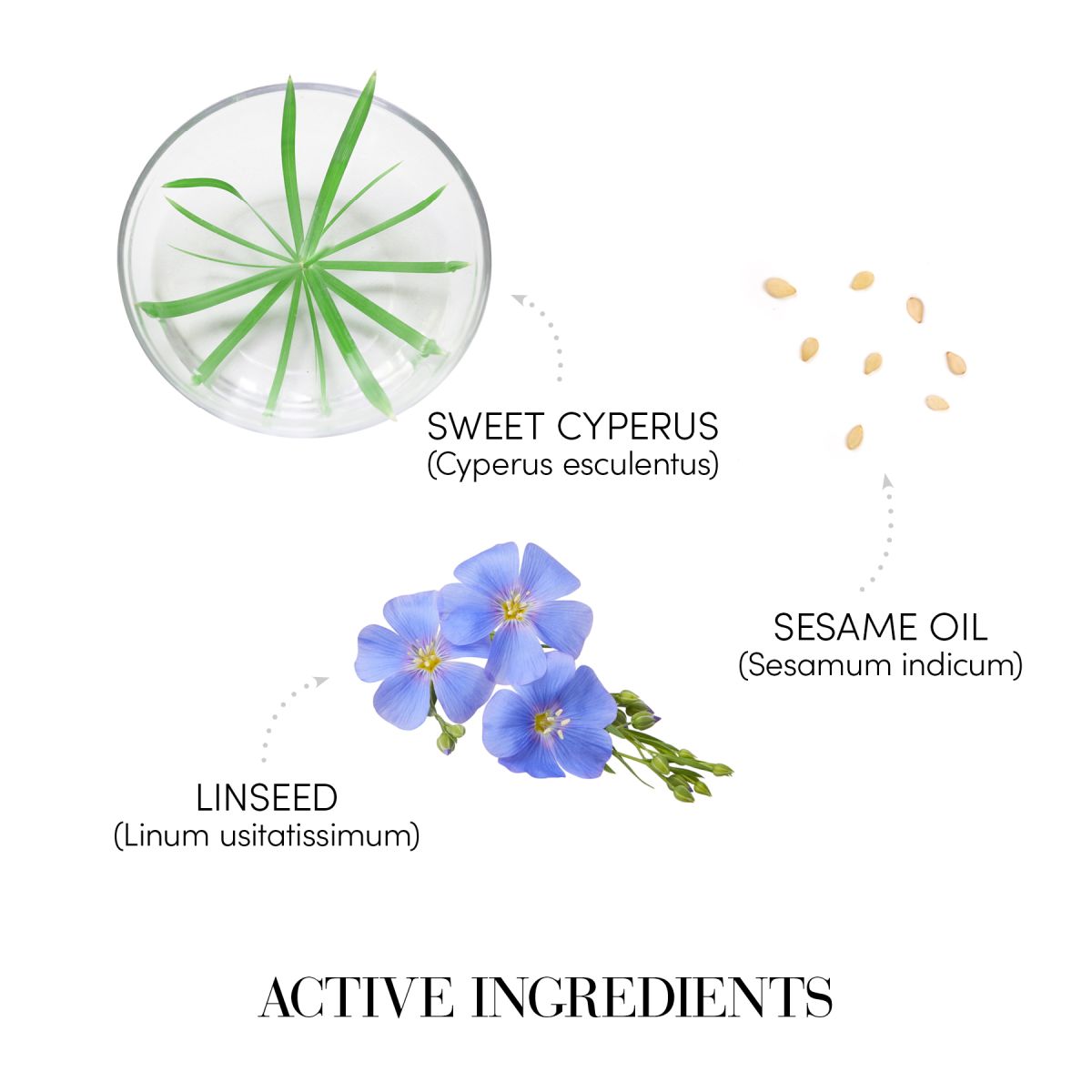 SAMPON REGENERANT CU EFECT ULTRA MATASOS 1000ML